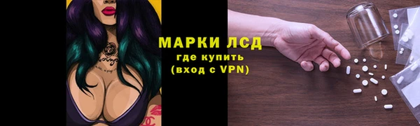2c-b Инсар