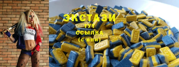 2c-b Инсар
