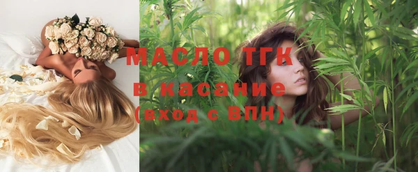 2c-b Инсар