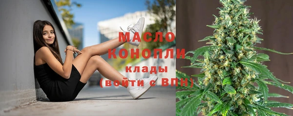 2c-b Инсар
