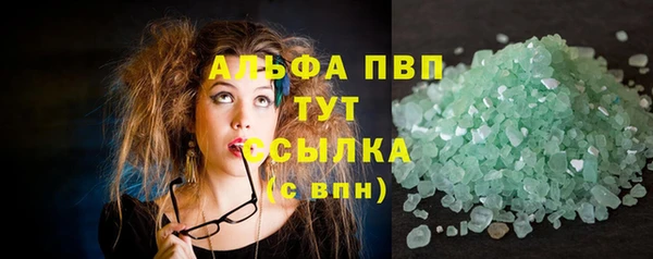2c-b Инсар