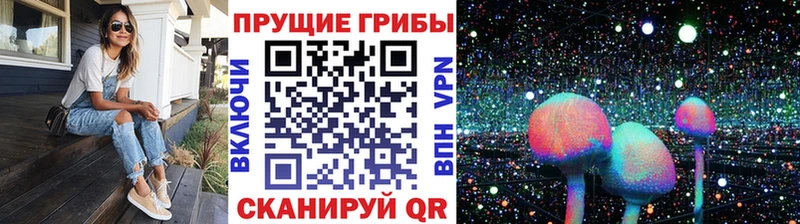 что такое   Кингисепп  Галлюциногенные грибы GOLDEN TEACHER 