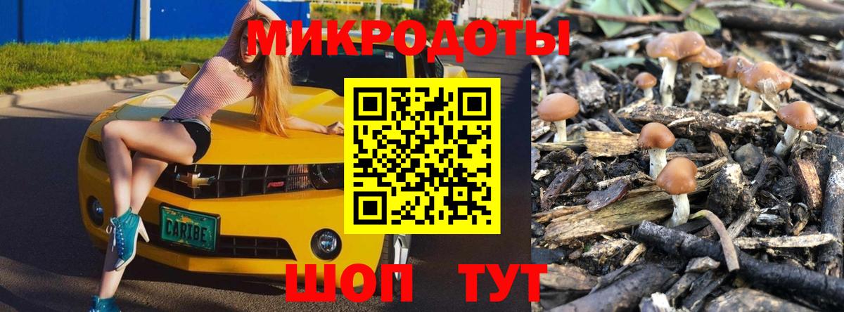 Кингисепп  Псилоцибиновые грибы GOLDEN TEACHER  Псилоцибиновые грибы мухоморы  Вход с VPN 